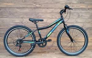 Bicicleta Capriolo MTB Stinger 24 black-green 12