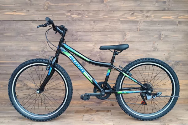 Bicicleta Capriolo MTB Stinger 24 black-green 12 - imagine 2