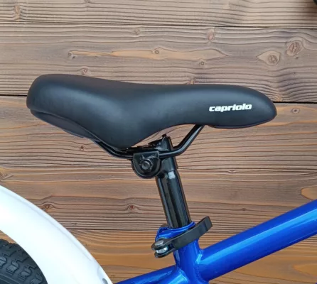 Bicicleta Capriolo Mustang blue white 16 - imagine 7
