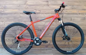 Bicicleta Capriolo MTB LC 9.2 29 AL red grey 19