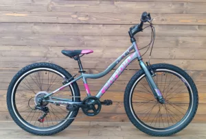 Bicicleta Capriolo MTB 24 DIAVOLO 400/6HT gray purple 12