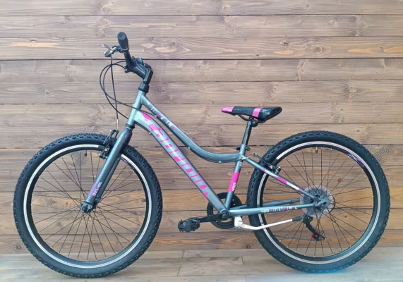Bicicleta Capriolo MTB 24 DIAVOLO 400/6HT gray purple 12 - imagine 2