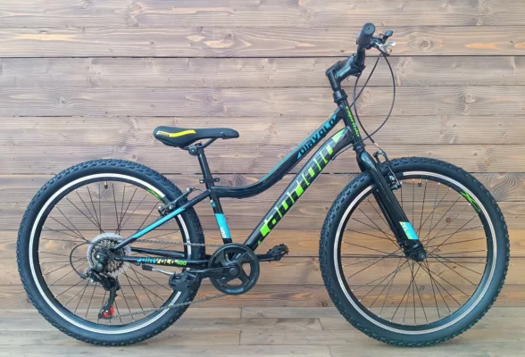 Bicicleta Capriolo MTB 24 DIAVOLO 400/6HT black green 12