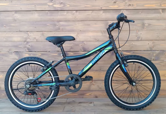 Bicicleta Capriolo MTB STINGER 20/7HT black green 11