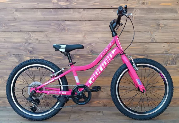 Bicicleta Capriolo MTB 20 DIAVOLO 200 pink purple 11