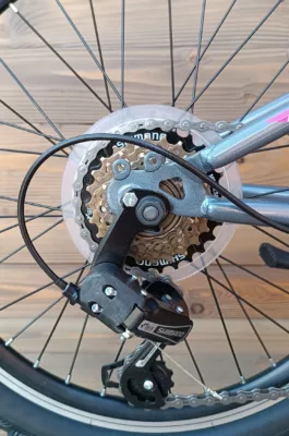 Bicicleta Capriolo MTB 20 DIAVOLO 200 grey purple 11 - imagine 6