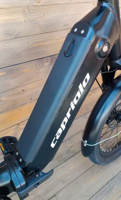 e-bike Pliabila Capriolo 20 black, motor 250W, 36V, cu baterie de 36V, 374Wh - imagine 10
