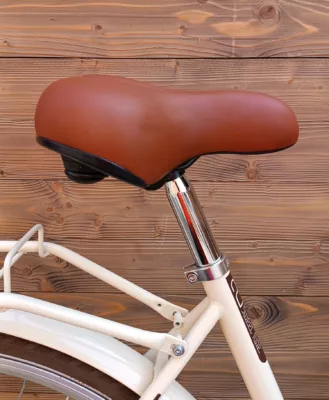 Bicicleta Capriolo Bianka beige brown 20 N3 viteze - imagine 10