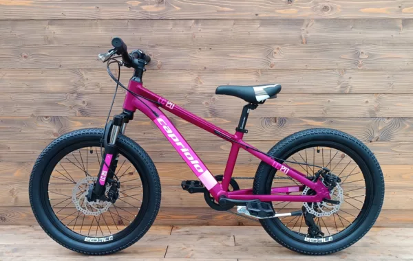 Bicicleta Capriolo MTB LC 200 pink aluminiu - imagine 2