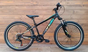 Bicicleta Capriolo Oxygen 24 V-brake black green