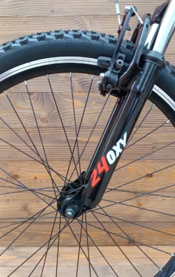 Bicicleta Capriolo Oxygen 24 V-brake black blue - imagine 4