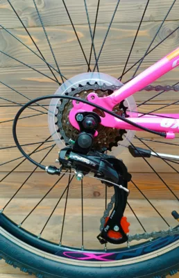 Bicicleta Capriolo Oxygen 24 V-brake pink blue - imagine 6