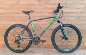 Bicicleta Capriolo Oxygen 26 silver green 20