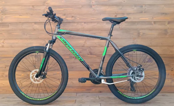 Bicicleta Capriolo Oxygen 26 silver green 20 - imagine 2