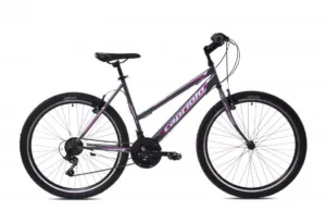 Bicicleta Capriolo Passion L grey 17