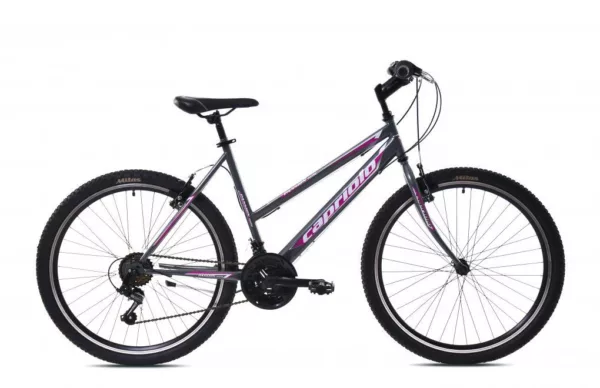 Bicicleta Capriolo Passion L grey 17