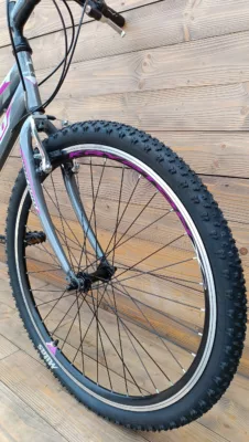 Bicicleta Capriolo Passion L grey 17 - imagine 3