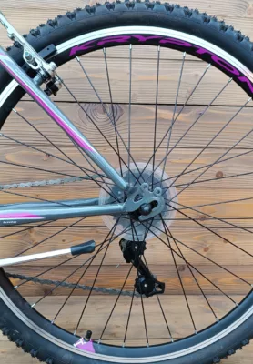 Bicicleta Capriolo Passion L grey 17 - imagine 7