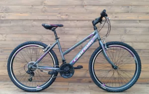 Bicicleta Capriolo Passion L grey 19