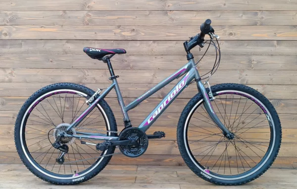 Bicicleta Capriolo Passion L grey 19
