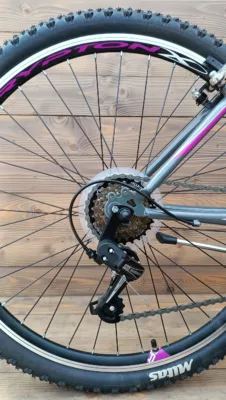 Bicicleta Capriolo Passion L grey 19 - imagine 6