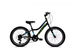 Bicicleta Capriolo MTB 20 DIAVOLO 200 black green 11