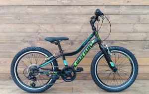 Bicicleta Capriolo MTB 20 DIAVOLO 200 black green 11