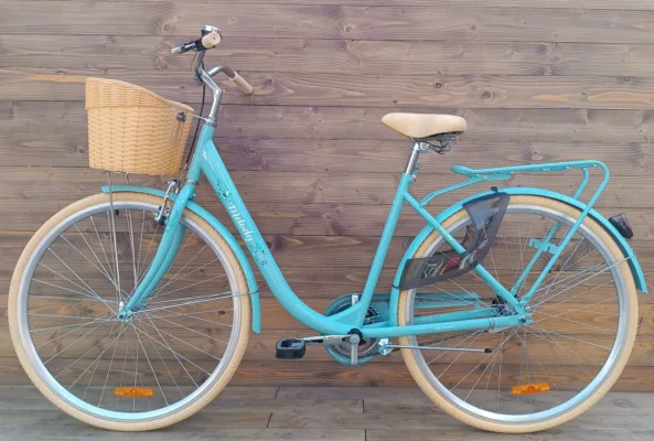 Bicicleta Capriolo Melody 28HT turcoaz 19 - imagine 2