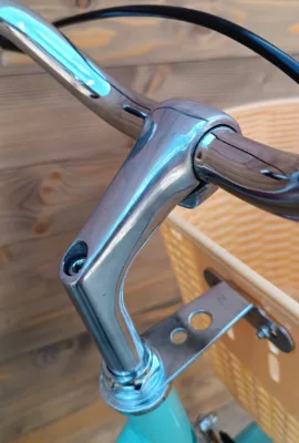 Bicicleta Capriolo Melody 28HT turcoaz 19 - imagine 7