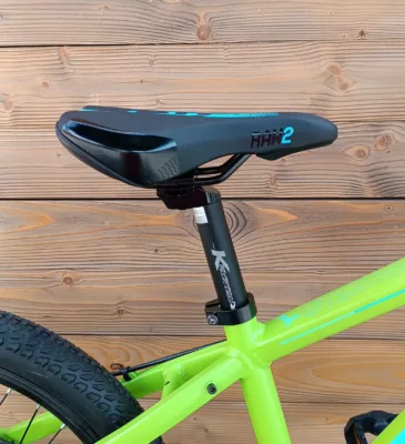 Bicicleta Capriolo LC 20 verde aluminiu - imagine 12