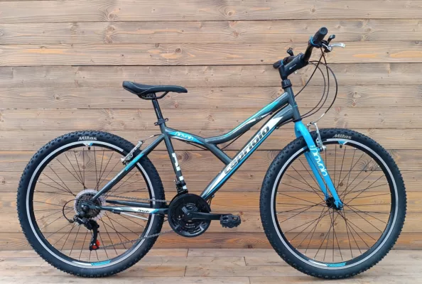 Bicicleta Capriolo 26 Diavolo 600 grey blue 19