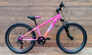 Bicicleta Capriolo Oxygen 24 V-brake pink blue