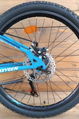Bicicleta Capriolo Oxygen 24 Disc brake albastru alb - imagine 8