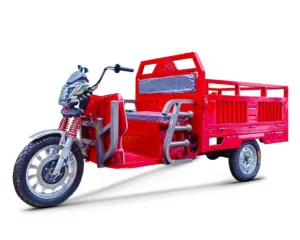 Triciclu electric Kuba GL15000 rosu putere motor 1500W