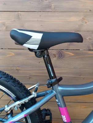 Bicicleta Capriolo MTB 20 DIAVOLO 200 grey purple 11 - imagine 10