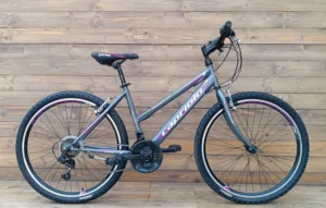 Bicicleta Capriolo Passion L grey 17