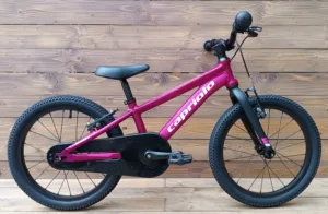 Bicicleta Capriolo LC 18 violet 9 aluminiu