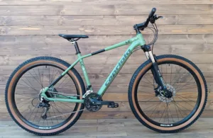 Bicicleta Capriolo MTB LC 9.4 29 AL olive green black 19