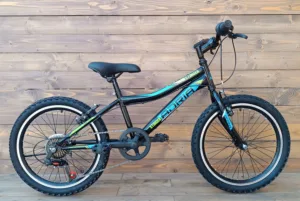 Bicicleta Capriolo MTB STINGER 20/7HT black blue 11