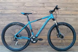 Bicicleta Capriolo MTB LC 9.2 29 AL blue black 19