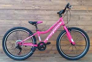 Bicicleta Capriolo MTB 24 DIAVOLO 400/6HT pink purple 12