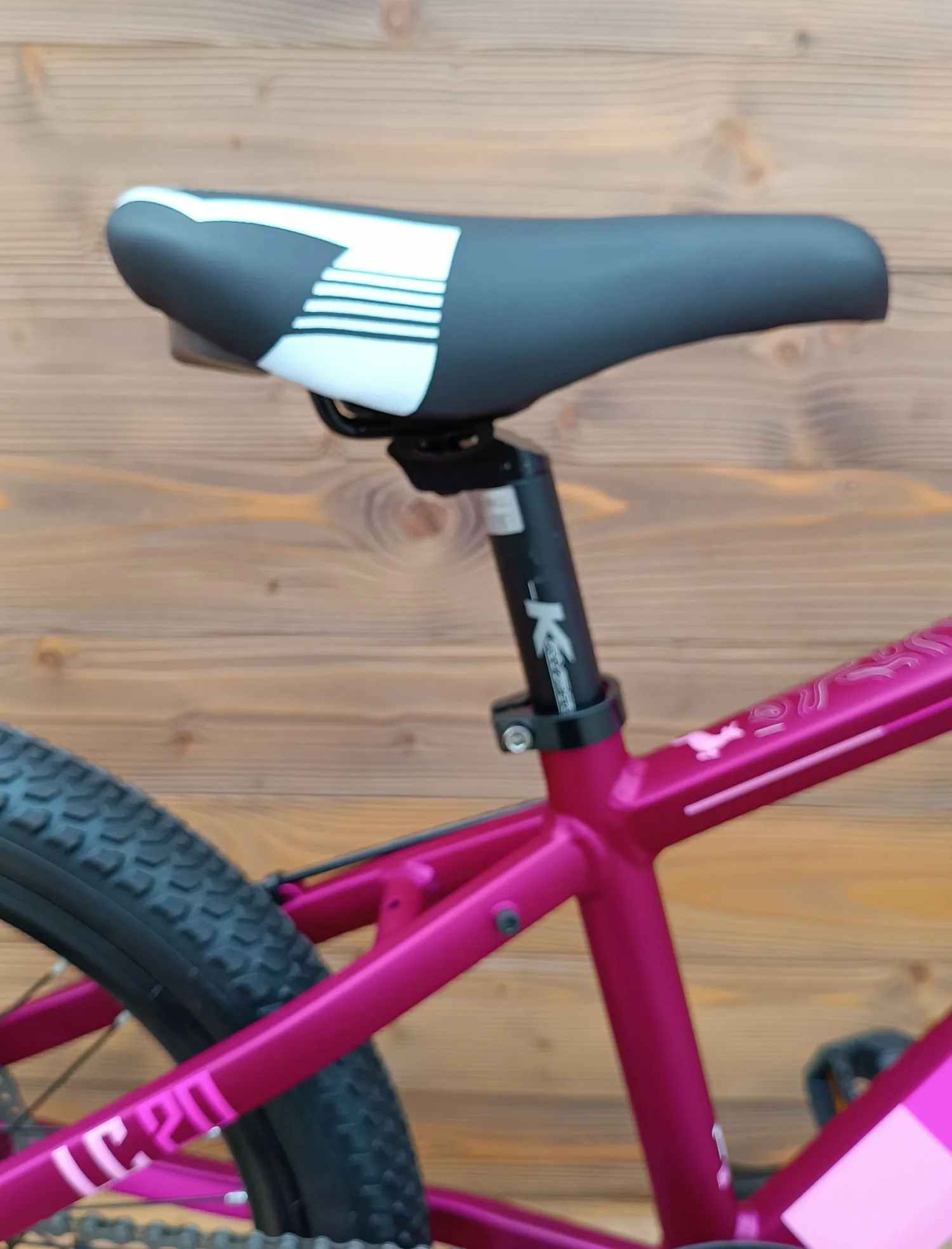 Bicicleta Capriolo LC 20 pink aluminiu - imagine 12