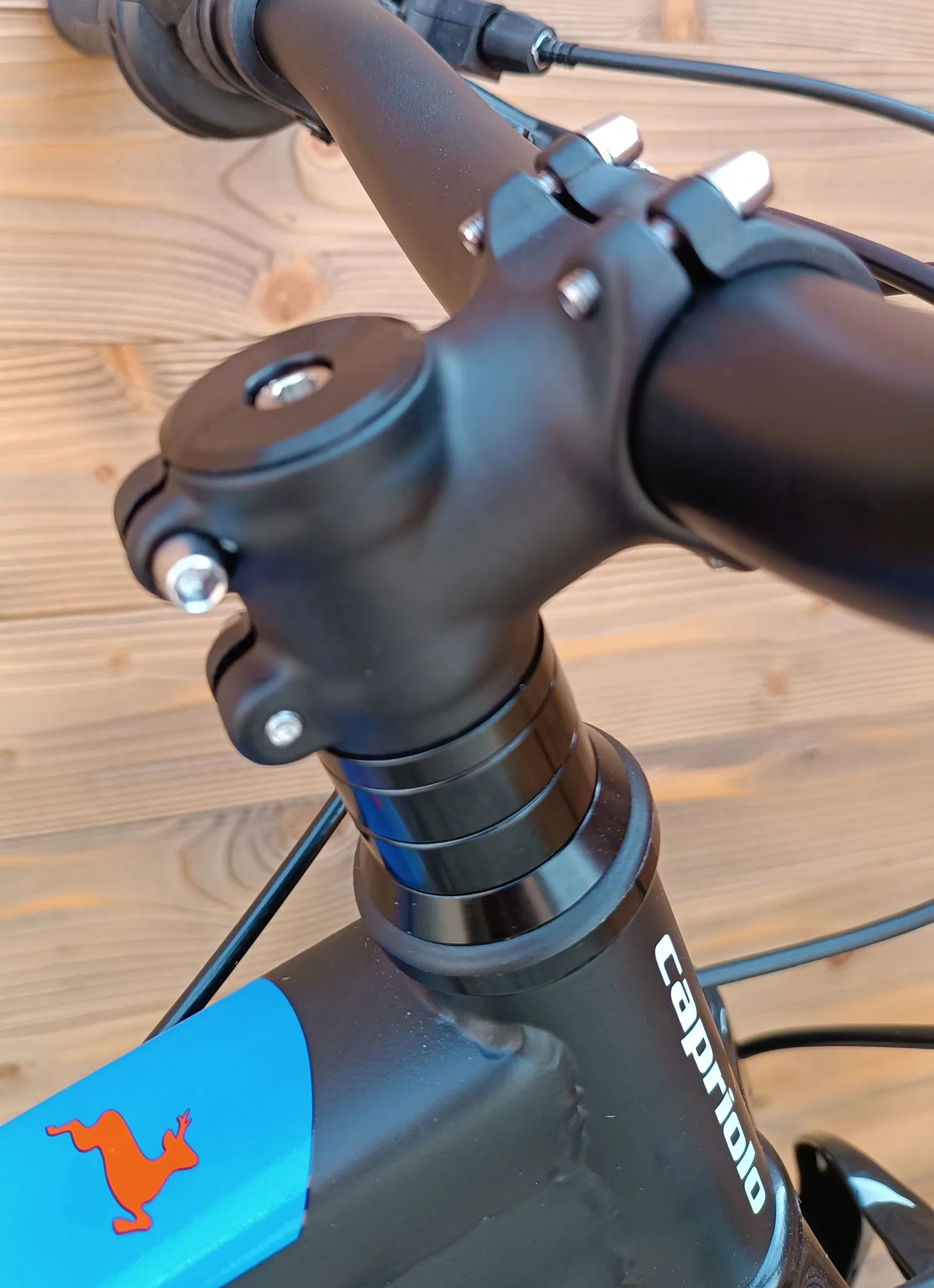 Bicicleta Capriolo Oxygen 24 Disc brake black blue - imagine 7