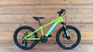 Bicicleta Capriolo LC 20 verde aluminiu