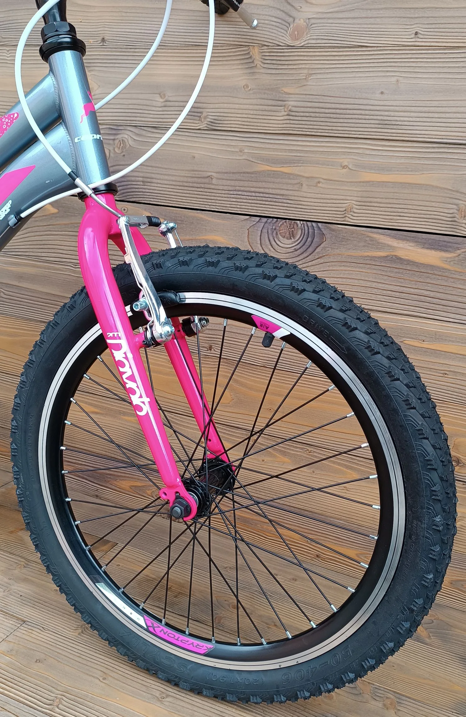 Bicicleta Capriolo copii 20 Diavolo 200 grey-pink 11 - imagine 3