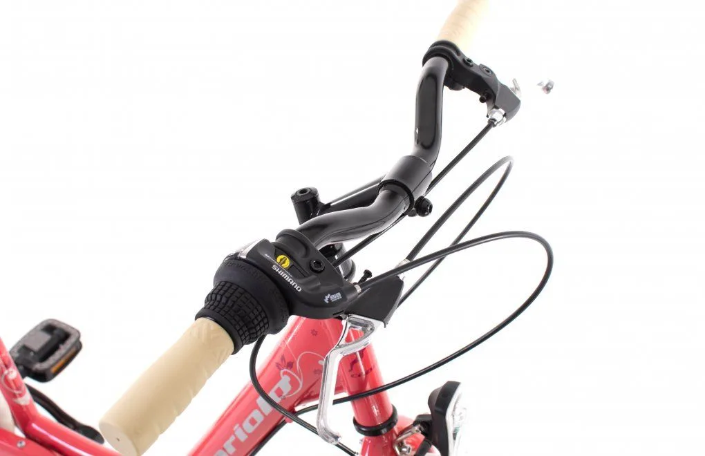 Bicicleta copii 24 Capriolo CTB Ella pink 13 - imagine 3