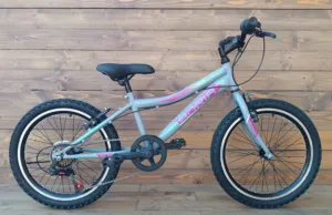 Bicicleta copii 20 Capriolo Stinger grafit violet 11