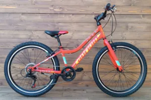 Bicicleta Capriolo MTB 24 DIAVOLO 400/6HT orange yellow 12