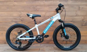 Bicicleta Capriolo MTB LC 20 grey aluminiu