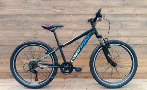 Bicicleta Capriolo Oxygen 24 V-brake black blue